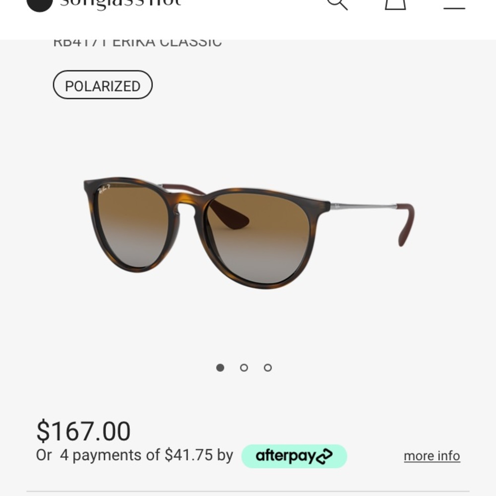 Ray Ban Erika Polarized Sunglasses! With Case